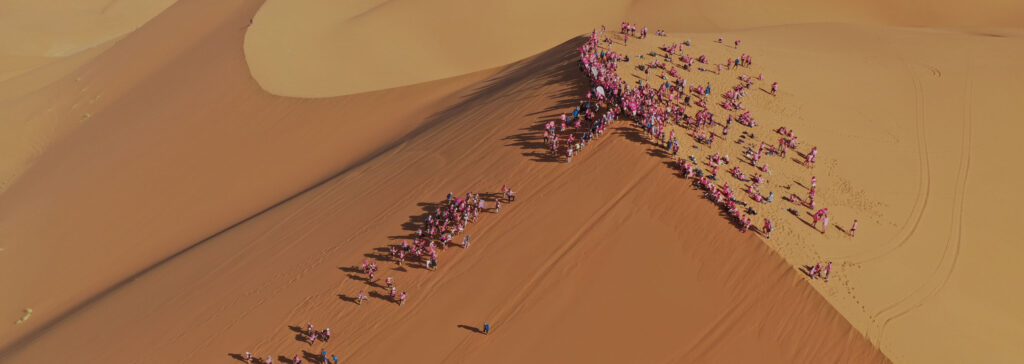 Le Groupe Bernard partenaire des Stars Trekkeuses